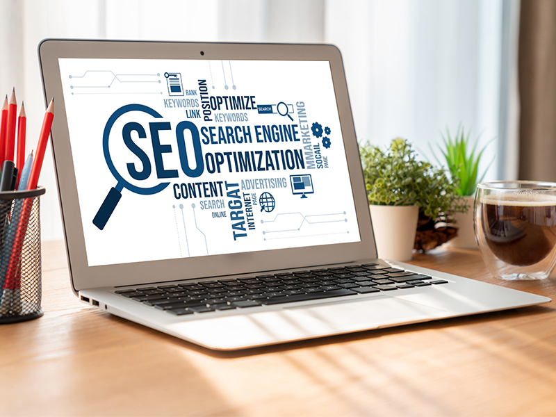 Best SEO Company in Delhi