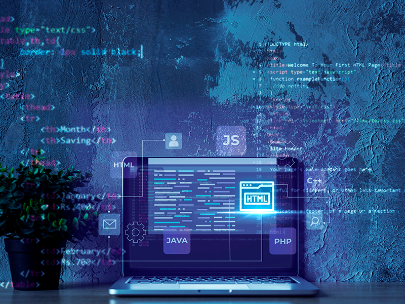 Website Development Agency in India