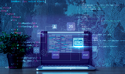 Website Development Agency in India 
